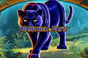 Panther Pays - SUPERBET388