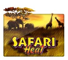 Joker123 : Safari Heat - SUPERBET388