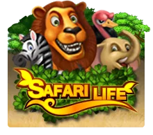 Joker123 : Safari Life - SUPERBET388