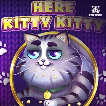 Here Kitty Kitty - SUPERBET388