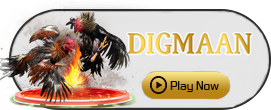 Digman - SUPERBET388