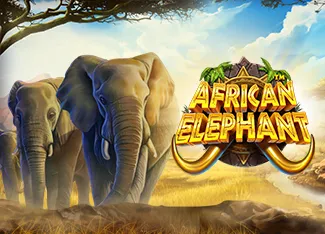Pragmatic : African Elephant - SUPERBET388